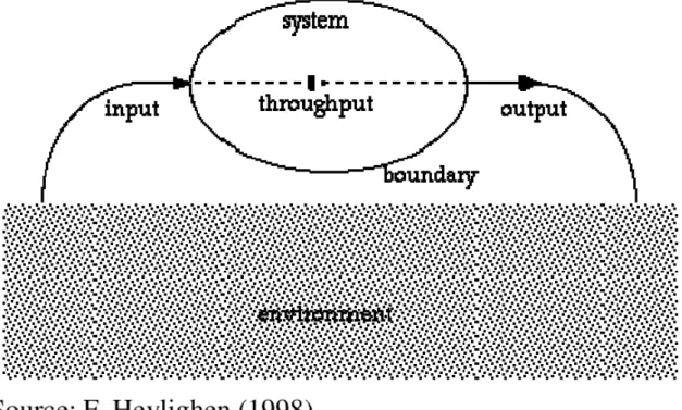 Figure 2: System approach model (Heylighen, 1998). 