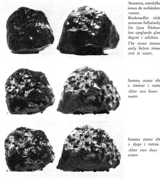 Fig.  7.  Inverkan  av  vatten  på  stenar  överdragna  med  mjukt  bindemedel.  Bergart:  S