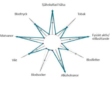 Figur 1: Stjärnprofil som används vid hälsosamtalen (Region Halland, 2020). 