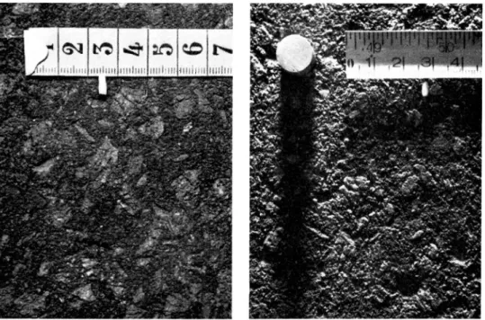 Fig.  4.  N ärbild  av  topeka.  Vänster  bild  (normal  belysning)  visar  stenmaterialets  form  och  ytstruktur,  höger  bild  (lågt  placerad  ljuskälla)  ytans  skrovlighet