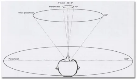 Figur 3: Foviala, parafoviala och periferiska områdena    