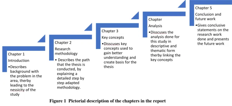Figure 1  Pictorial description of the chapters in the report 