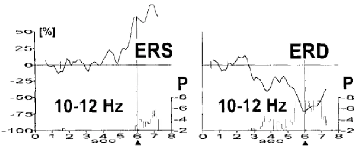Fig 5: ERS and ERD at sensory motor area during movement 