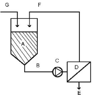 Figure  9. Schematic of a cross-flow filtration system. A is the system process  tank containing the retentate, B is the feed stream, C is the system pump, D is  the filter module, E is the permeate stream, F is the retentate stream and G is  the   diafilt