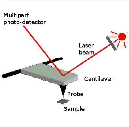 Figure 10. Principle of the AFM. The sample is placed on a sample holder (not   shown in the image), whereas the probe is connected to the cantilever