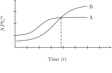 Fig. 1. The development of NPV and the determination of the economic lifetime