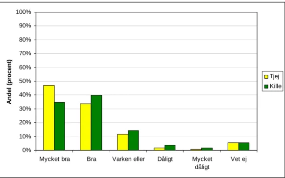 Figur 5  Elevernas åsikter om Liften, n=958. 