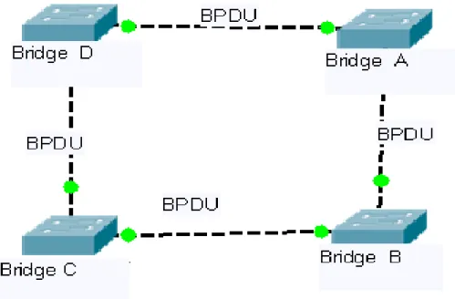 Figure 2.2  This figure shows that Establishing STP by the exchange of BPDU  between 