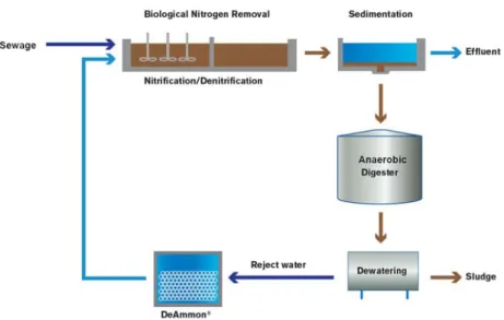 Figure  4.  Conceptual  WWTP  for  municipal  sewage  with  side-stream  reject  water treatment