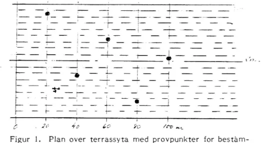 Figur 1. Plan over terrassyta med provpunkter for bestäm- bestäm-ning av packbestäm-ningsgrad.