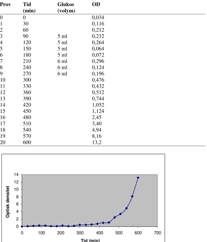 Figur 2. Tillväxtkurva M.lutea odlad på dubbelt LB medium  försök 1 