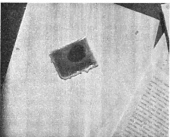 Fig.  7.  A   plastic  bag  approximately  6 V2  X  4 V2  cm  in  size,  illustrating  the  colour  change  of  its  contents  (“ brilliant  green”   indicator  dye  solution  in  this  case)  upon  freezing