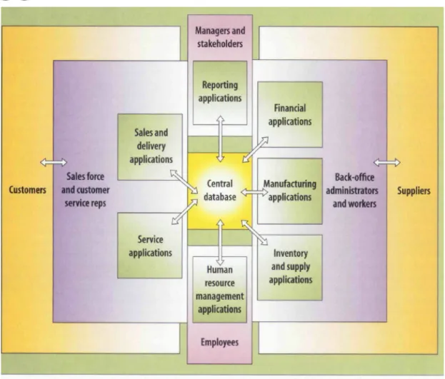 Figure 2: Anatomy of Enterprise system, source (Davenport 1998, p. 124) 