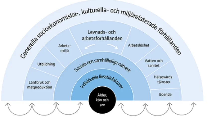 Figur 1: Hälsans bestämningsfaktorer (Folkhälsomyndigheten, 2020) 