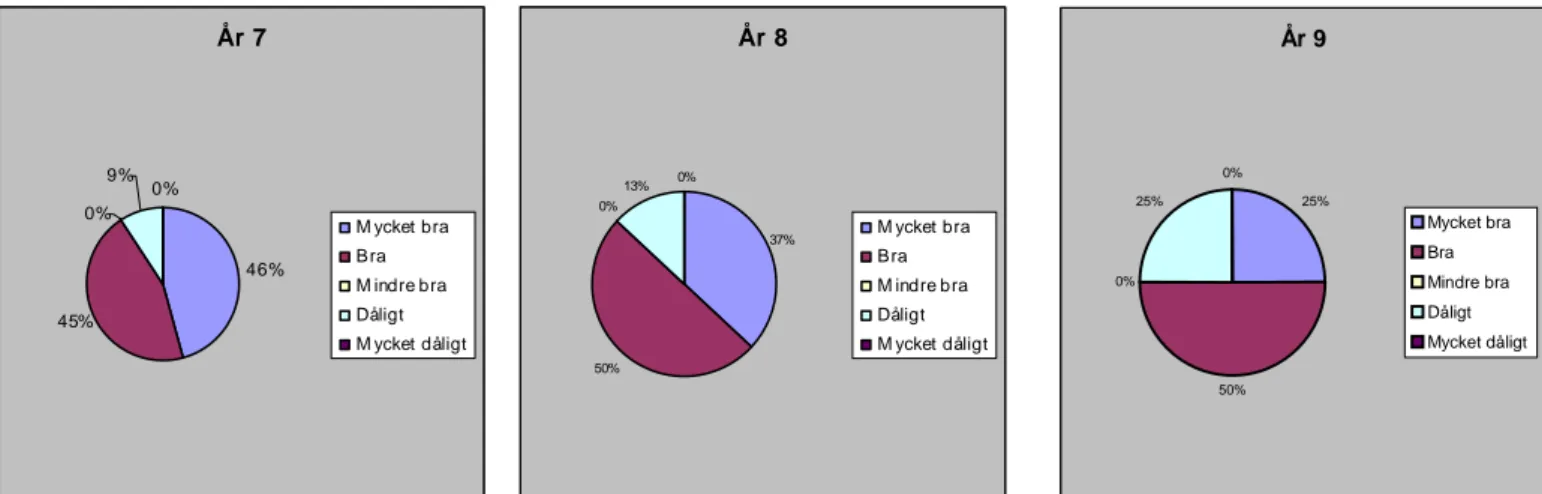 Diagram 8: Fördelning i procent avseende hur respondenterna lyckades på sitt senaste  engelskaprov