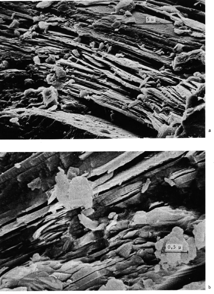 Foto 1 a och b. Brottytor av a) gnejs från Töva och b) glimmerskiffer från Arlanda visande uppspruckna glimmerpackar