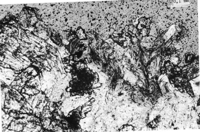 Foto 2 a. Anorthosit, spaltningen av småminera 1. Polarisationsmikroskop,