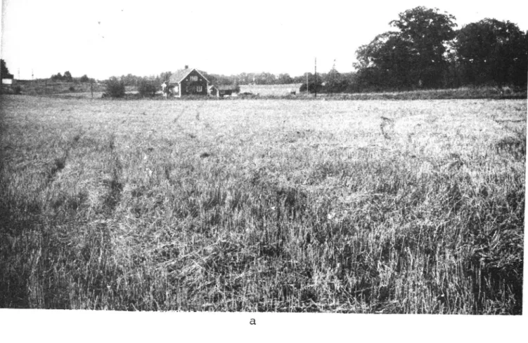 Foto 1. Läge för provsträckan i augusti 1977 och oktober 1977, första a) från söder b) från nord.