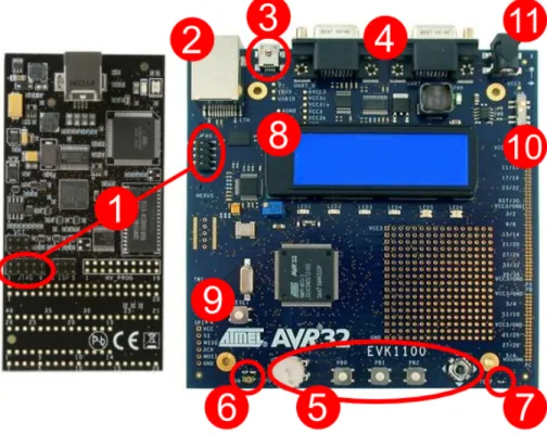 Figure 2.2: AVR Dragon and EVK1100 Evaluation Board
