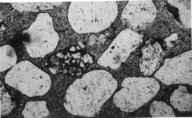 Fig 13 Mikrofoto av Baskarpssand SVI 80538. Ofta rundade kvarts- och fältspatkorn samt en sandstenspartikel till Vänster om  bild-' mitt