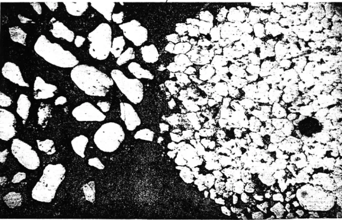 Figur 1. Tunnslip av två partiklar av porös sandsten från naturgrus ingjutna i härdplast.