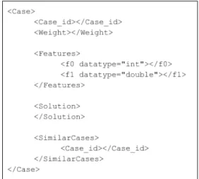 Figure 5: Example of the XML case file.
