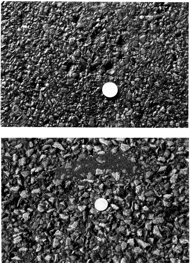 Foto 4 Jämförelse av a) beläggningsyta på F2] med WBS 12 (observera slensla'pp ovan enkronan) och b) skelettasfalt (Stabinor)förmodligen med 16 mm stenmax på väg vid Kallax