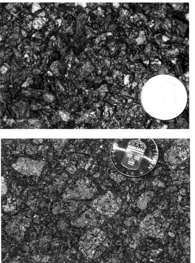 Foto 5 Närbilder avfuktig beläggning på F2] (stensla'pp markerade) och en ca tio år gammal, torr vägbela'ggning (M43 16?) med nedsliten sten.