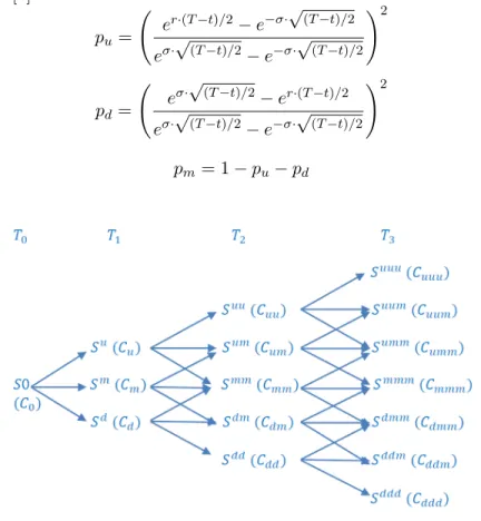 Figure 2.1: Trinomial Tree