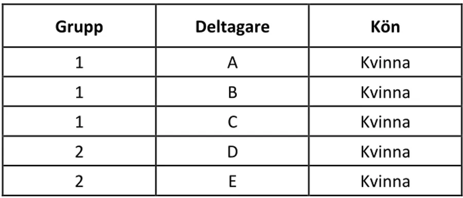 Tabell 1. Information om deltagarna  