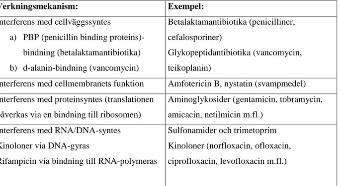 Tabell 1. De viktigaste verkningsmekanismerna för antimikrobiella medel:  