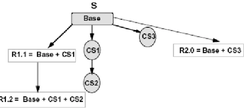 Figure 2: The combination of version numbering and change-oriented identification  2.2.3  Release Management 