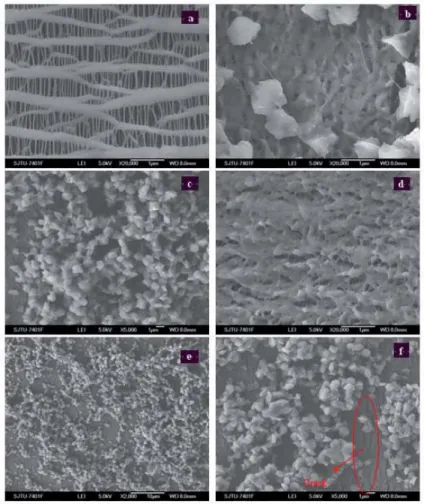 Figure 5.1  SEM image for (a) ×20000, untreated PP membrane surface; (b) ×20000, treated PP  membrane surface; (c) ×5000, treated PP membrane surface; (d) ×20000, treated PP membrane  surface; (e) ×2000, treated PP membrane surface; (f) ×5000, treated PP m