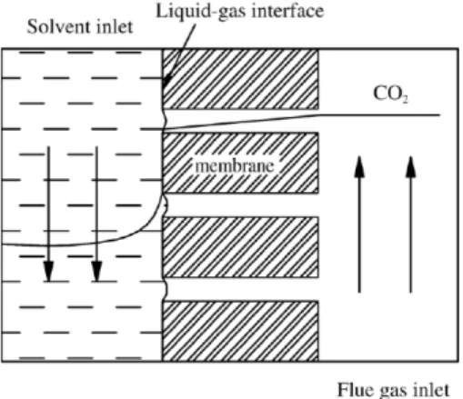 Fig. 1. Schematic drawing of CO 2  absorption in a hollow fiber membrane contactor. 