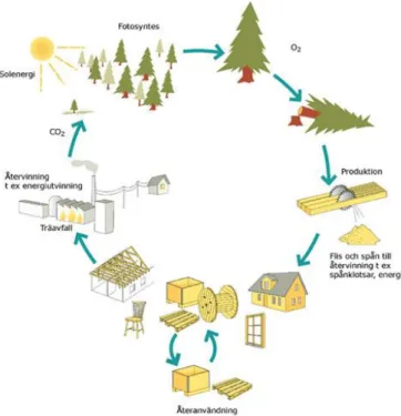 Figur 6 Träprodukters kretslopp. Från TräGuiden (2015) Copyright Föreningen Sveriges  Skogsindustrier
