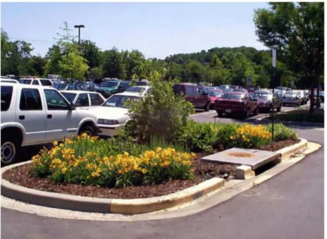 Figure 16  Bioretention in a parking lot car 