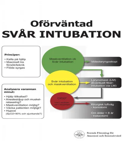 Figur 1: Svensk Förening för Anestesi och intensivvård 