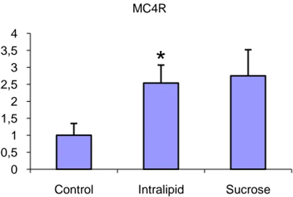 Figure 17. Since all the animals had constant access to water dehydration would not be a factor  and the expression level of AVP would be the same for all the groups, which is confirmed by the  RT-PCR results