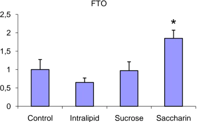 Figure 19.  A significant up regulation of the FTO can be seen for the group fed Saccharin