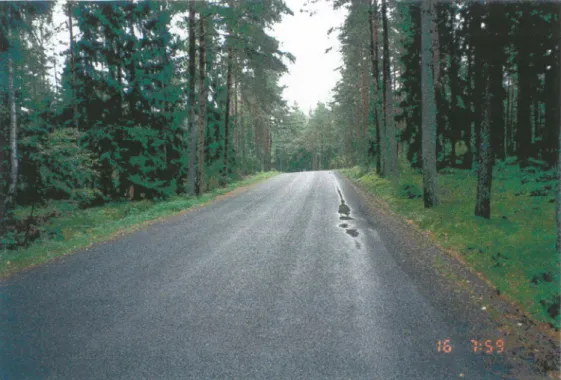 Figur 8  Spårbildning nära vägkanten i september  1998.