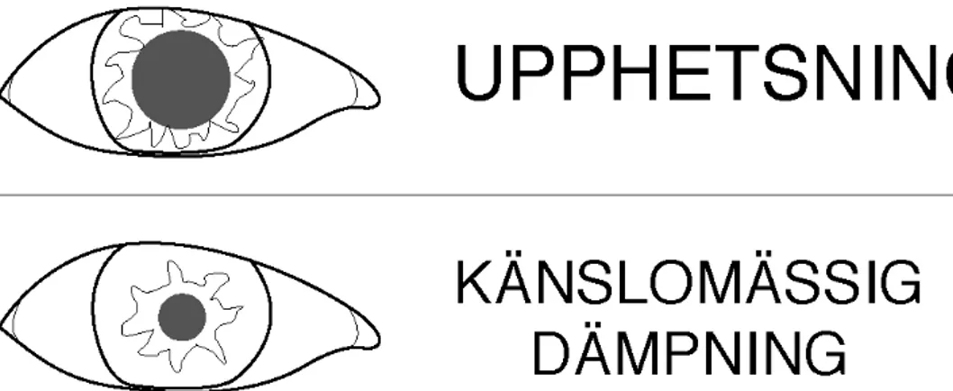 Fig. 3 Grafik skapad utifrån Desmond Morris teorier. 