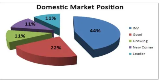 Figure 6: Domestic market position (INT) 