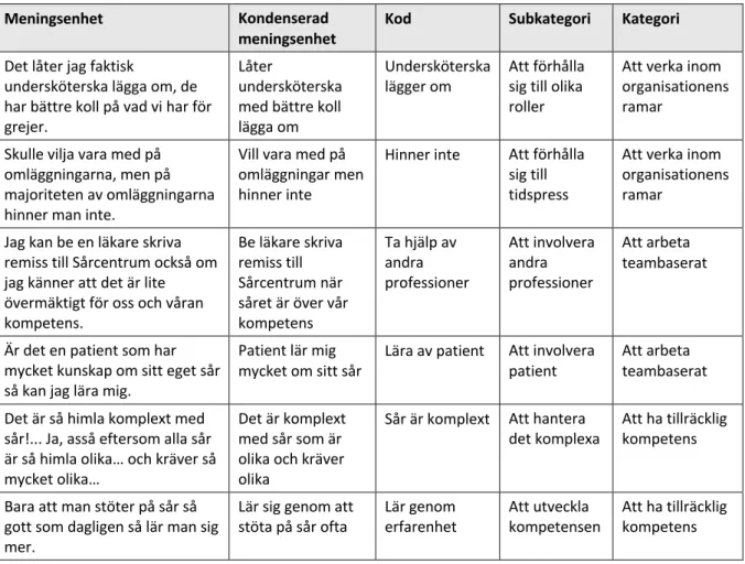 Tabell 1. Utdrag ur analysmatris.