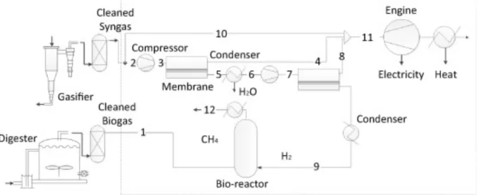 Figure 2: Process of combining anaerobic digestion and biomass gasification  (permission to use  from authour(Li et al