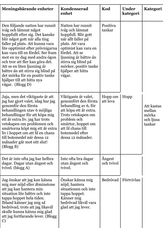 Tabell 1. Exempel på analysmetod.