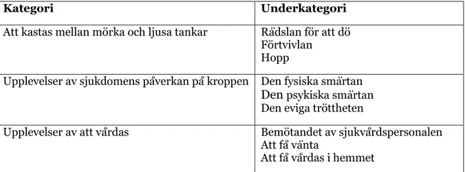 Tabell 2. Kategori och underkategori.