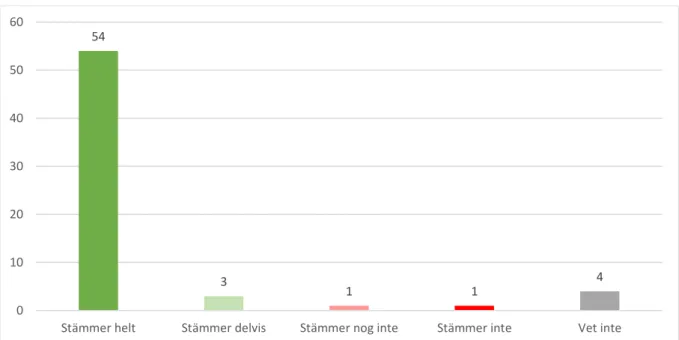 Figur 17. Vill du lära dig mer engelska? 