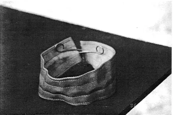 Figur 3 Renexhalsbandet.