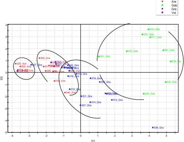 Figur 3.1  Score plot från PCA av bergarternas petrografiska egenskaper (de  streckade linjerna beskriver ungefärlig gruppering) 