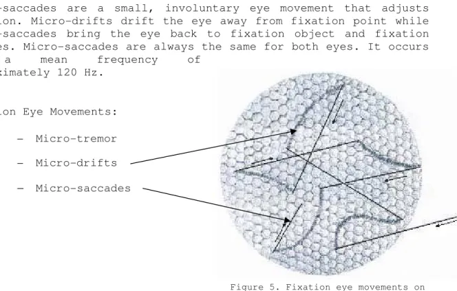 Figure 5. Fixation eye movements on             retinal photoreceptors 